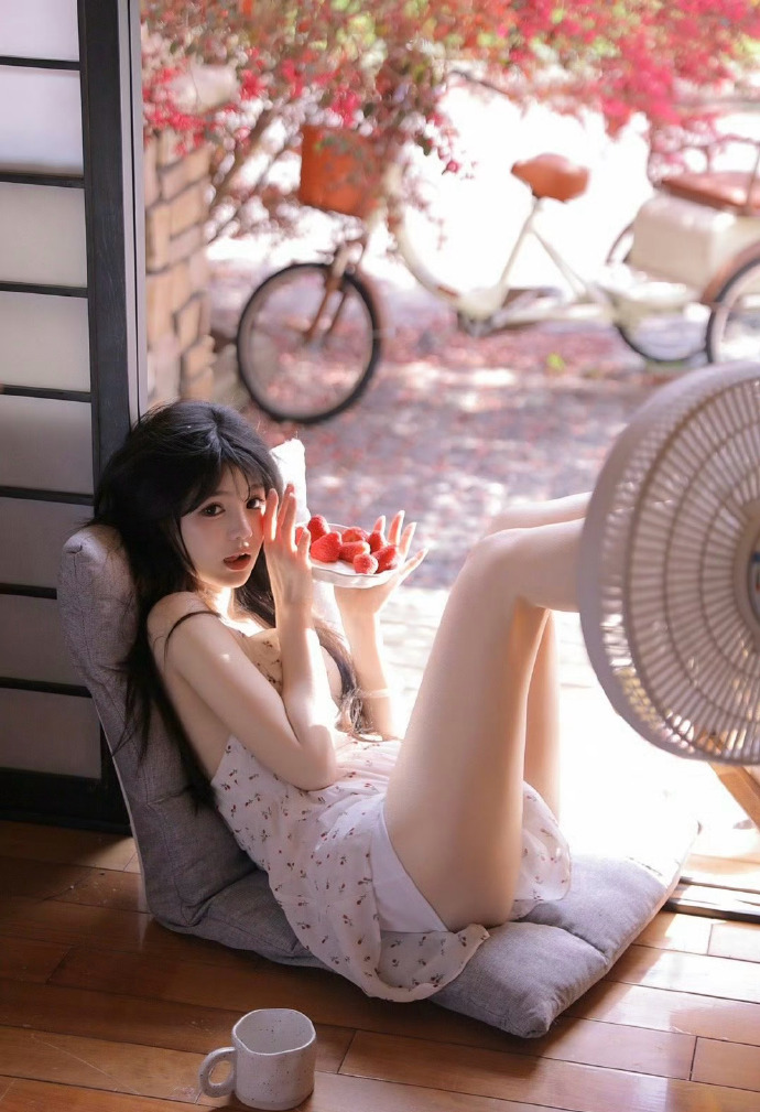 我的团长我的团
